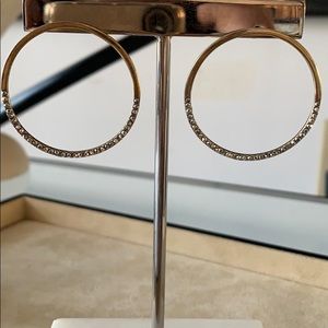 Anthropologie earnings